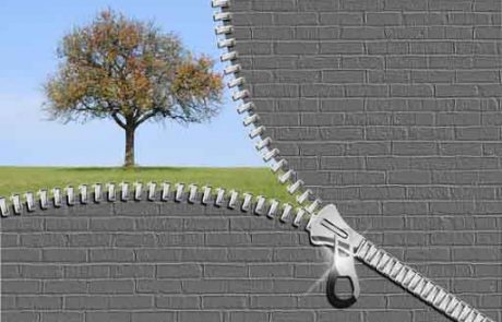 Illinois Business & Employment Attorney, Lake Forest Illinois